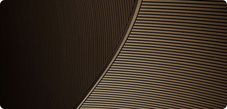 insight 14 img